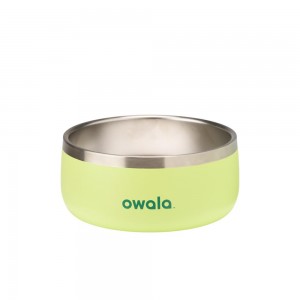 Green Sweet Treat Owala Stainless Steel 3 Cups Pet Bowl | QIJSRO-326