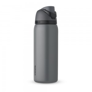 Grey Owala Freesip® Stainless Steel 32 Oz Water Bottle | ZHFYMQ-794