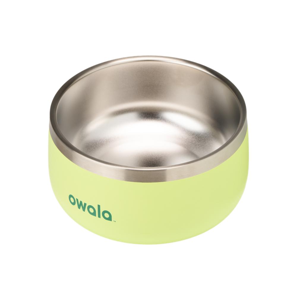 Green Sweet Treat Owala Stainless Steel 3 Cups Pet Bowl | QIJSRO-326