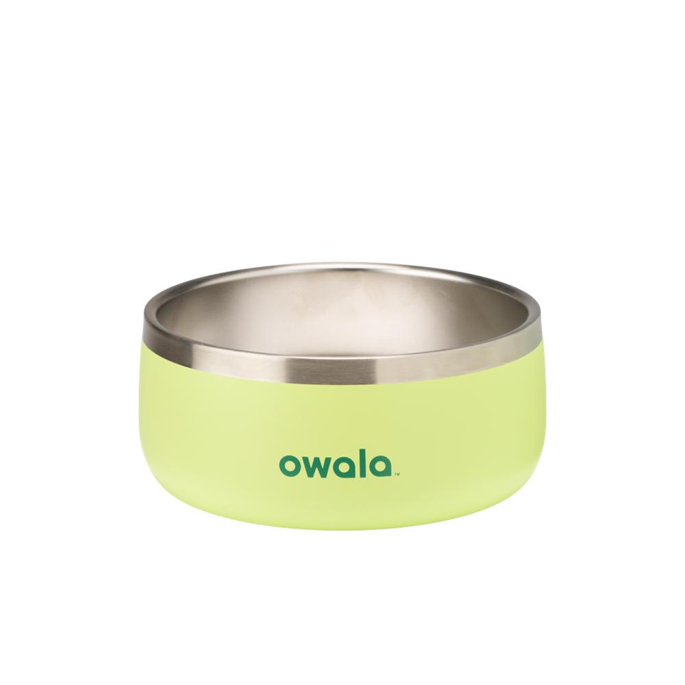 Green Sweet Treat Owala Stainless Steel 3 Cups Pet Bowl | QIJSRO-326