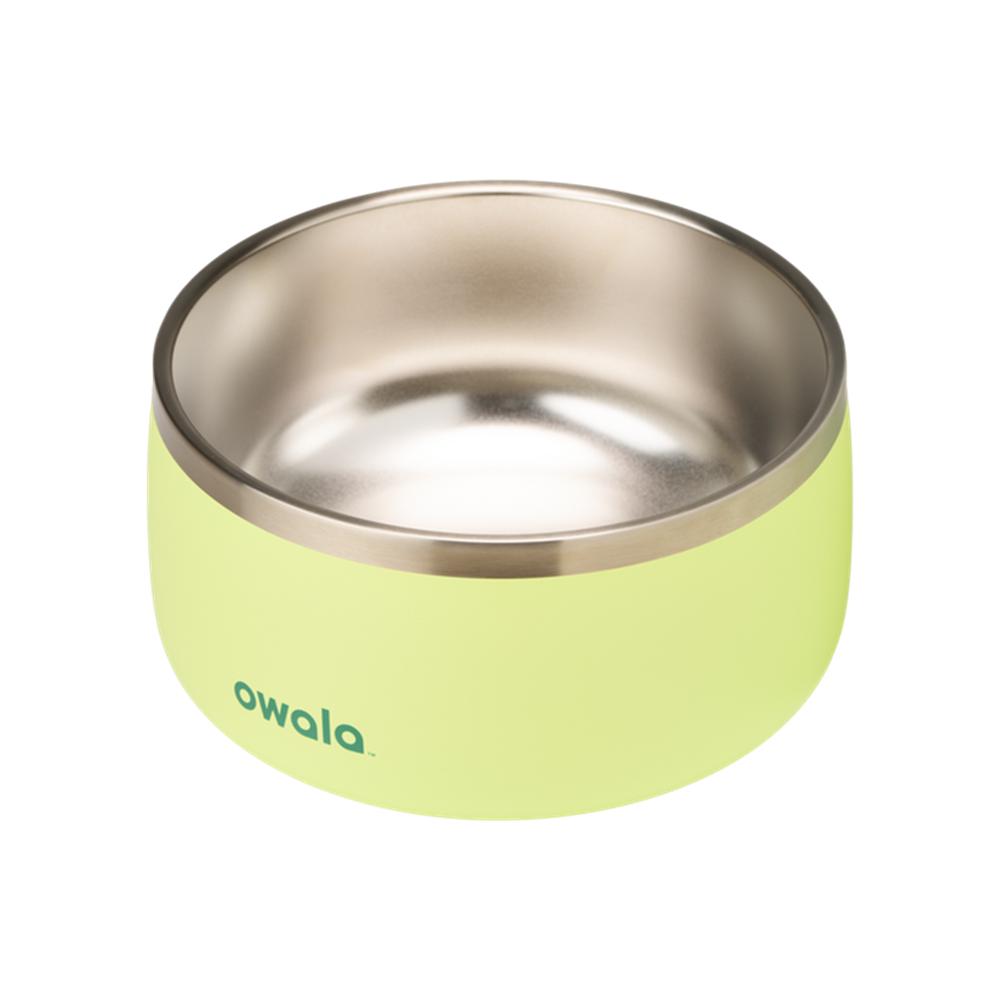 Green Sweet Treat Owala Stainless Steel 6 Cups Pet Bowl | DJMOWR-063