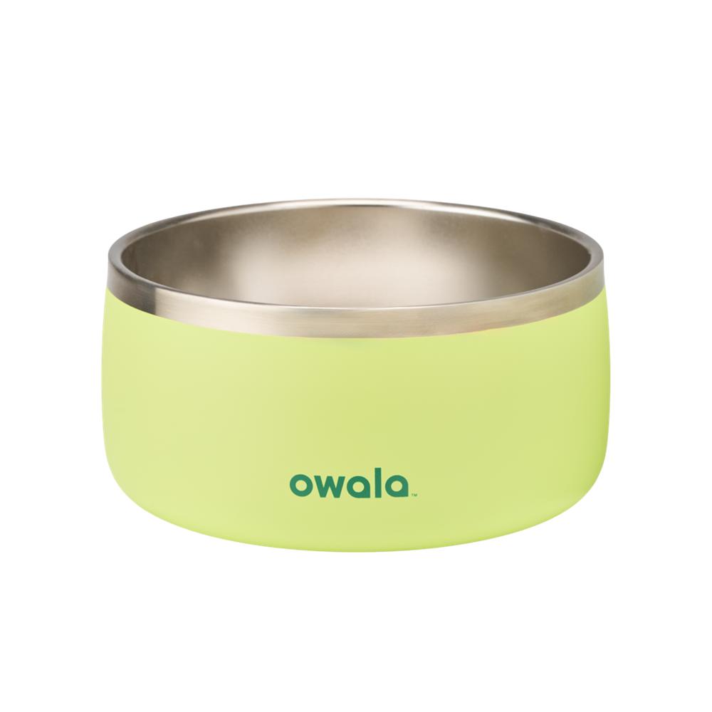 Green Sweet Treat Owala Stainless Steel 6 Cups Pet Bowl | DJMOWR-063