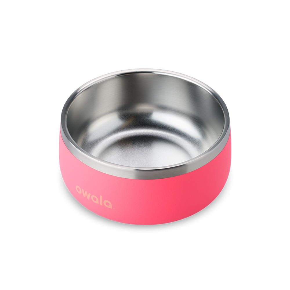 Pink Hyper Flamingo Owala Stainless Steel 3 Cups Pet Bowl | LSXQJA-436