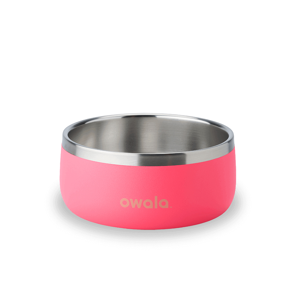 Pink Hyper Flamingo Owala Stainless Steel 3 Cups Pet Bowl | LSXQJA-436