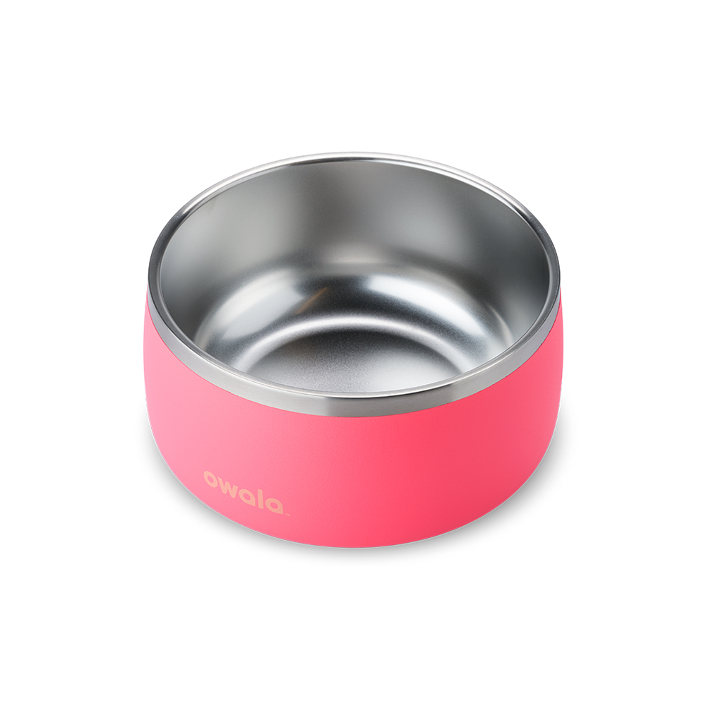 Pink Hyper Flamingo Owala Stainless Steel 6 Cups Pet Bowl | WJUQLI-620