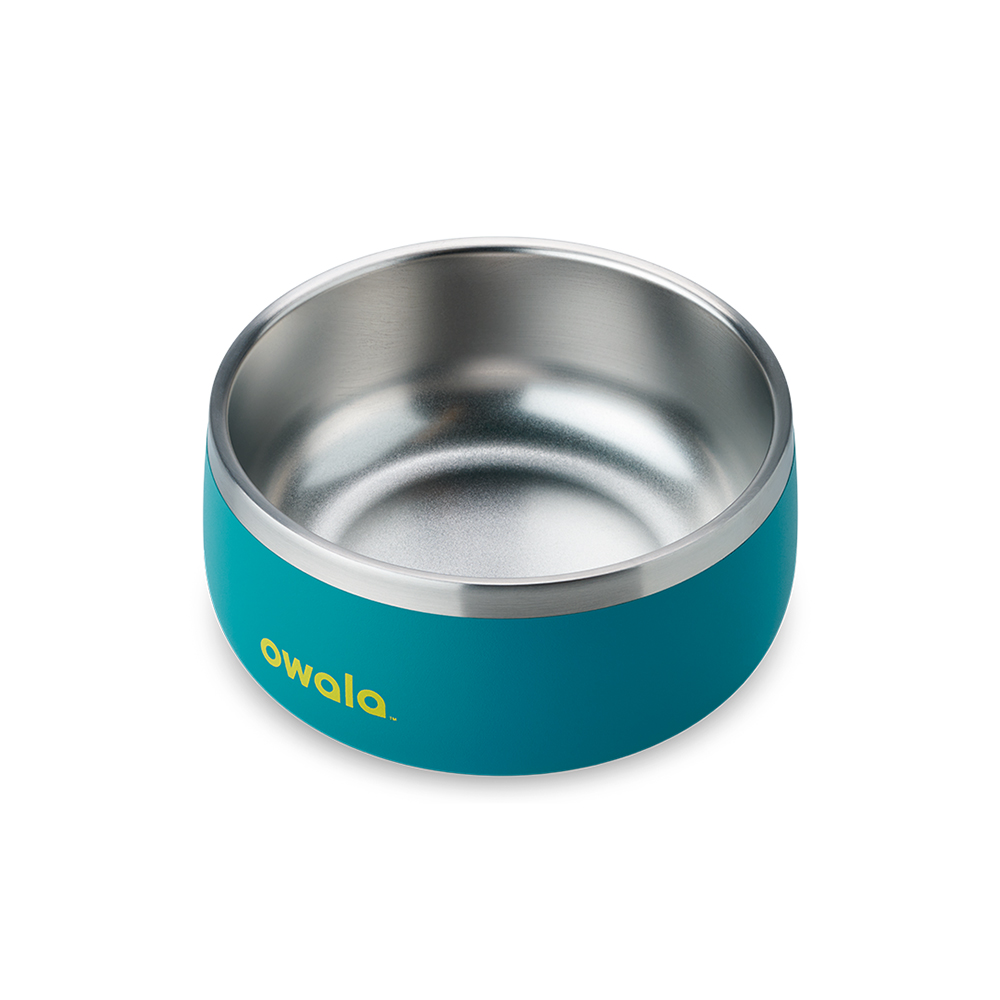 Turquoise & Caicos Owala Stainless Steel 3 Cups Pet Bowl | AURBTN-089