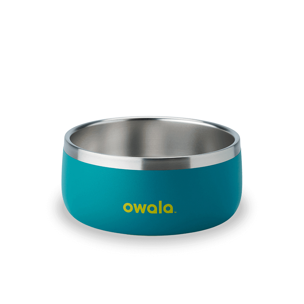 Turquoise & Caicos Owala Stainless Steel 3 Cups Pet Bowl | AURBTN-089