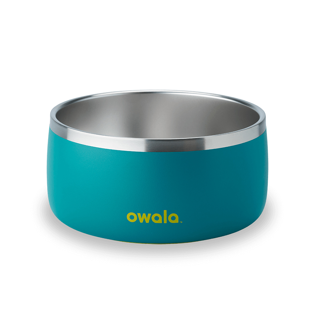 Turquoise & Caicos Owala Stainless Steel 6 Cups Pet Bowl | OAPECJ-720